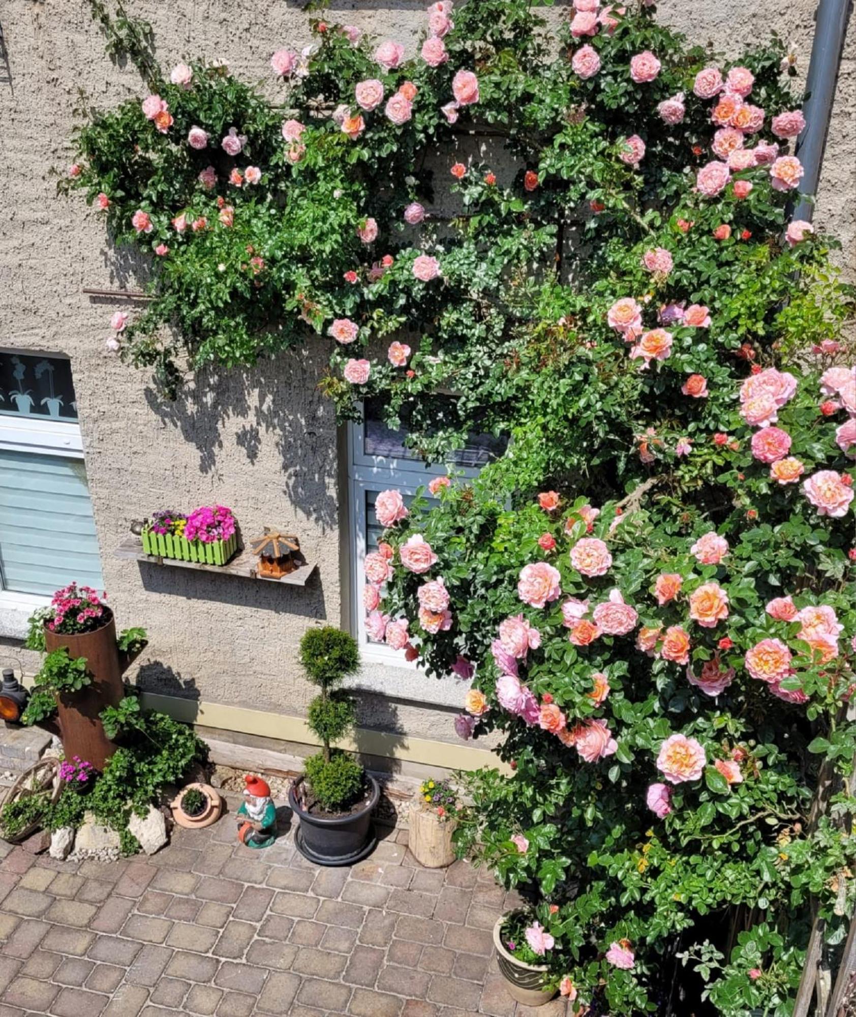 Ferienwohnung Domblick Naumburg  Eksteriør billede